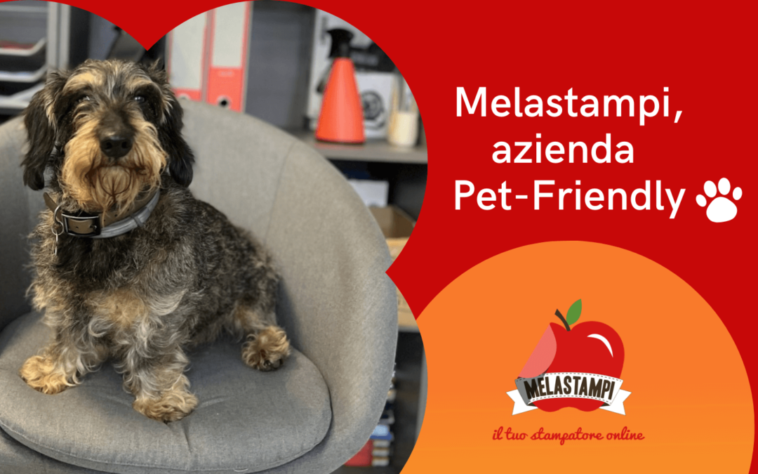 Giornata mondiale del cane in ufficio, Melastampi azienda Pet-Friendly